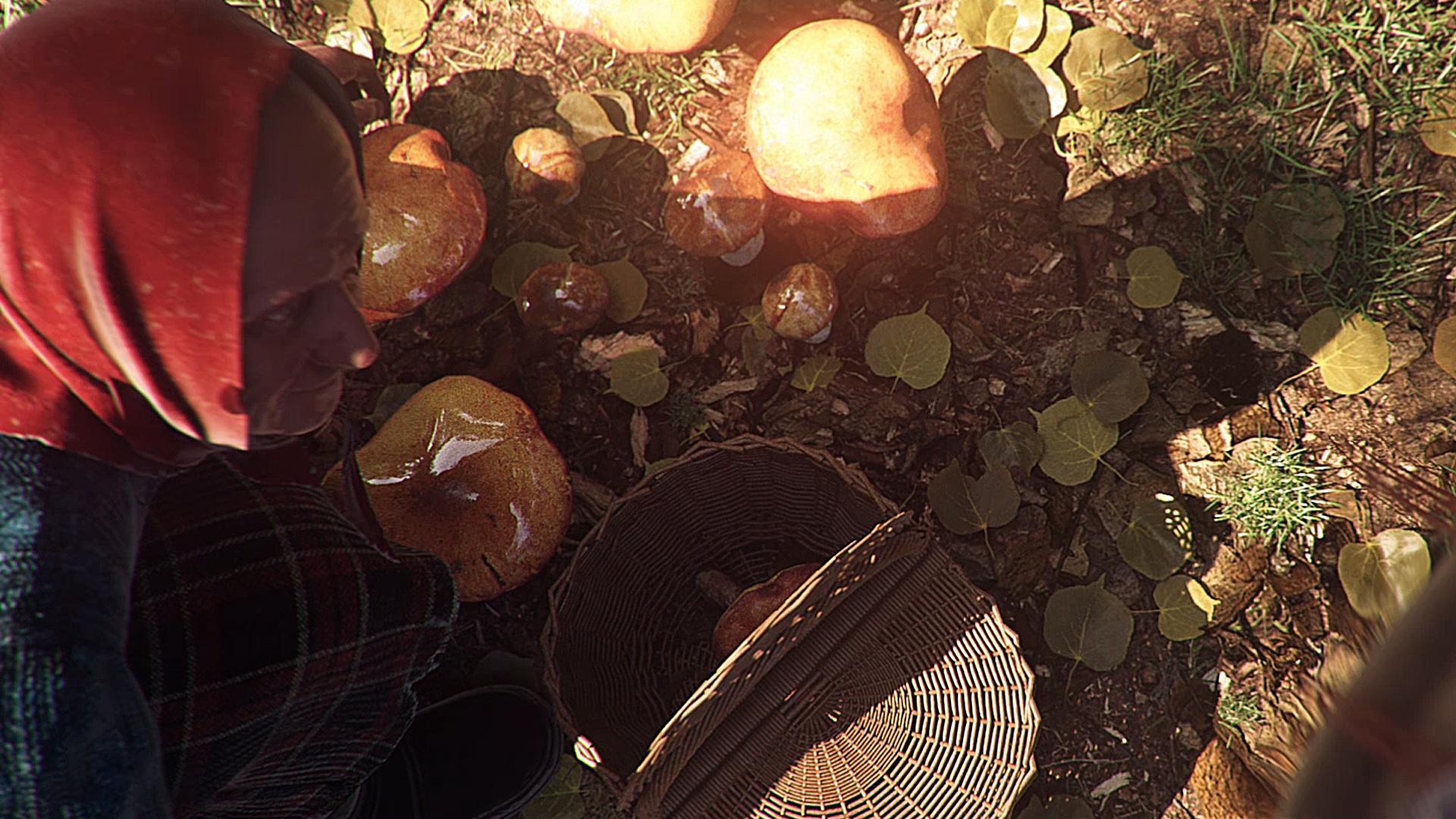 Mushrooms Forest Walker - FusionFX