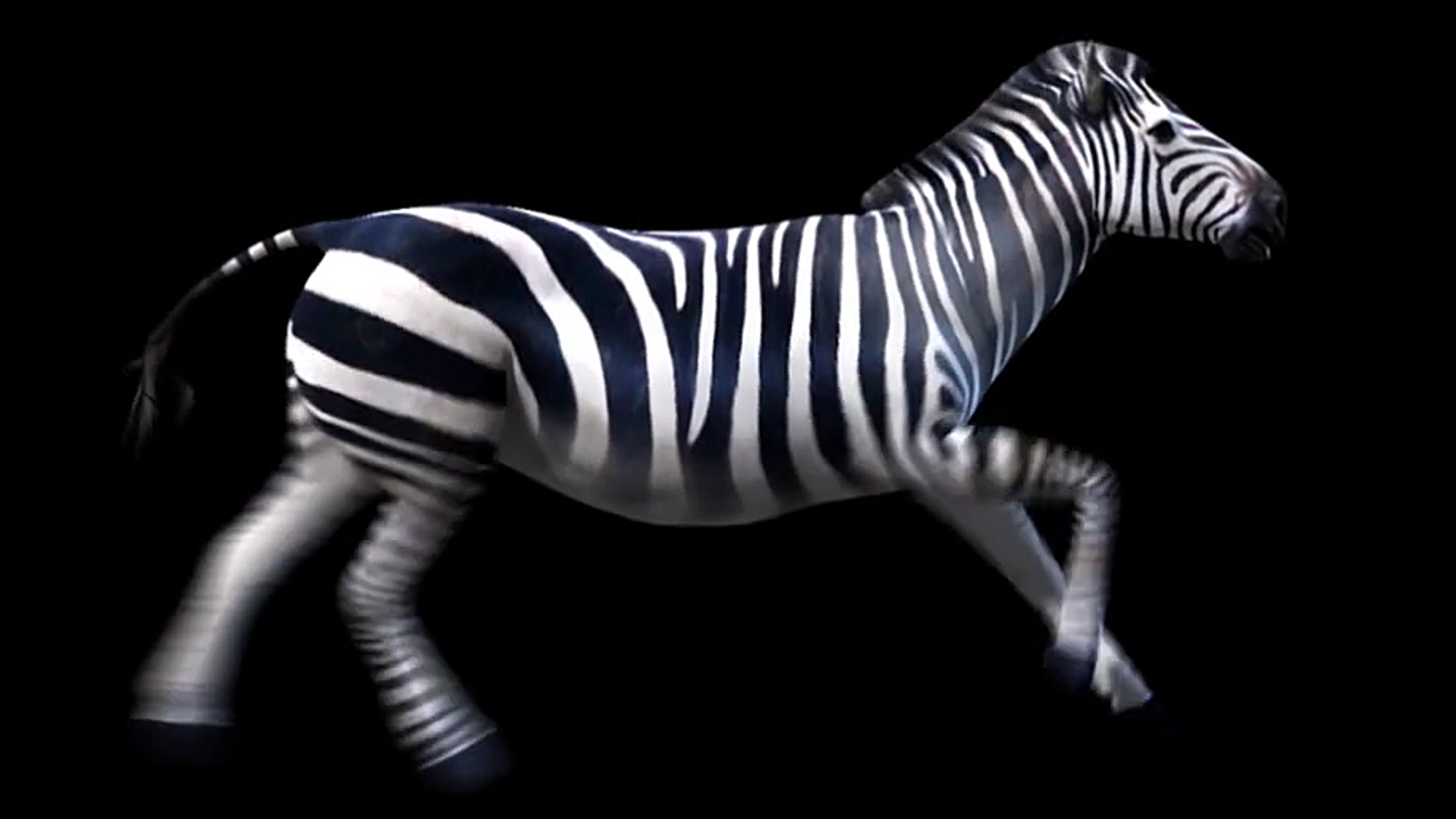 Princessa Zebra - FusionFX